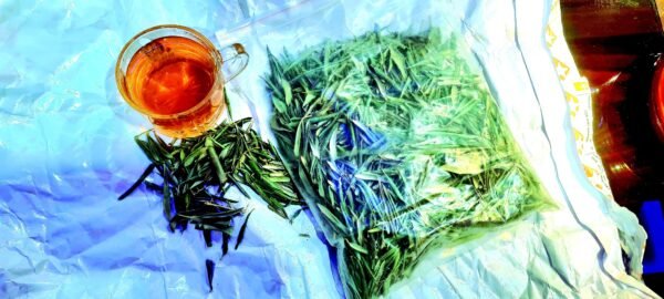 Olive Leaves Tea
